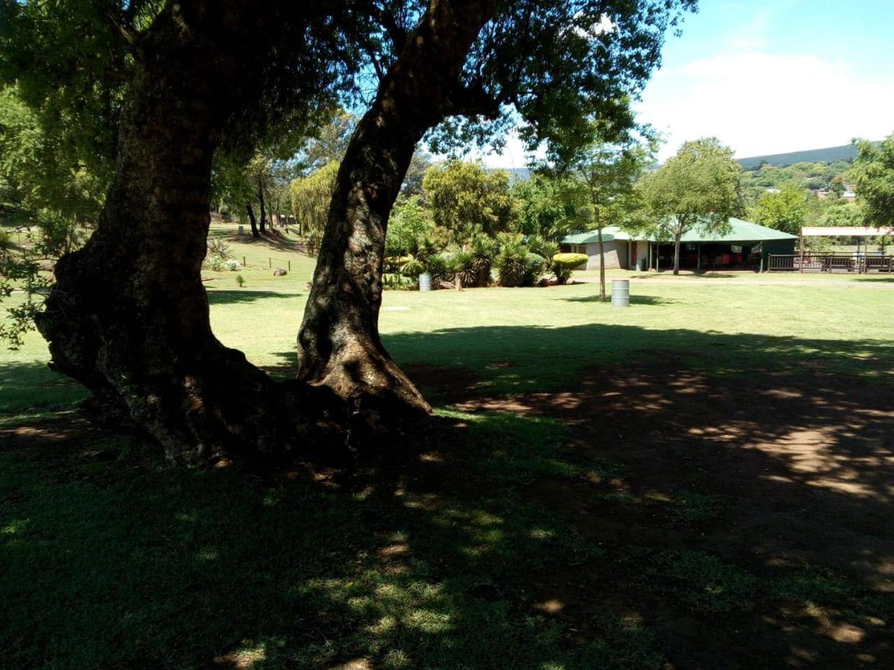 Sabie River Camp Exteriör bild